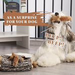 Laifug Hidden Squirrel Plush Dog Toy - LaiFug