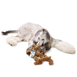 Laifug Hidden Squirrel Plush Dog Toy - LaiFug