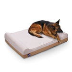 Laifug Jumbo Dog Bed - LaiFug