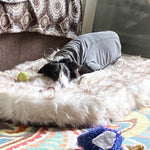 Laifug Faux Fur Dog Bed - LaiFug