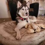 Laifug Faux Fur Dog Bed - LaiFug