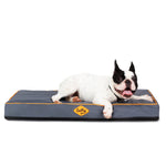 Laifug Egg - Crate Foam Dog Bed - LaiFug