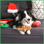 Laifug Christmas Dog Toy, Squeaky Toy - LaiFug